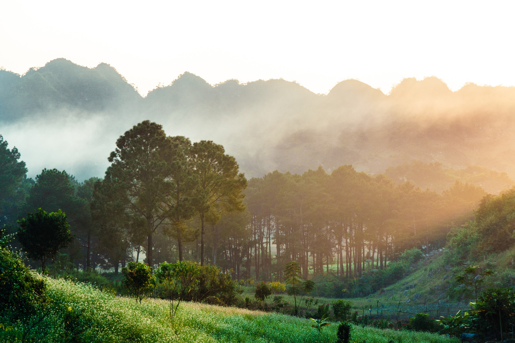 Sunset at Moc Chau, VietNam